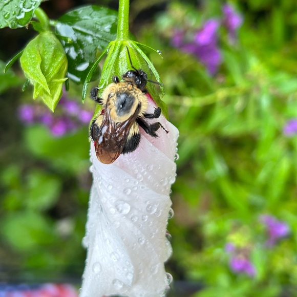 About me Photos🥳🥳❌❌ - Picture 4 of 14